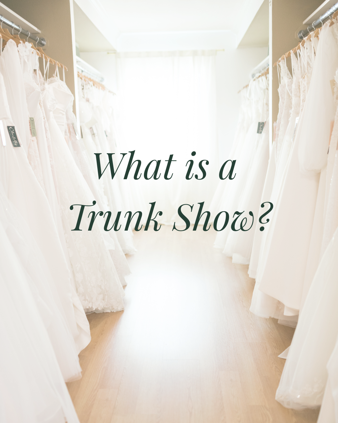 Wedding Dress Trunk Shows: What They Are and Why Every Bride Should Consider Shopping One. Mobile Image