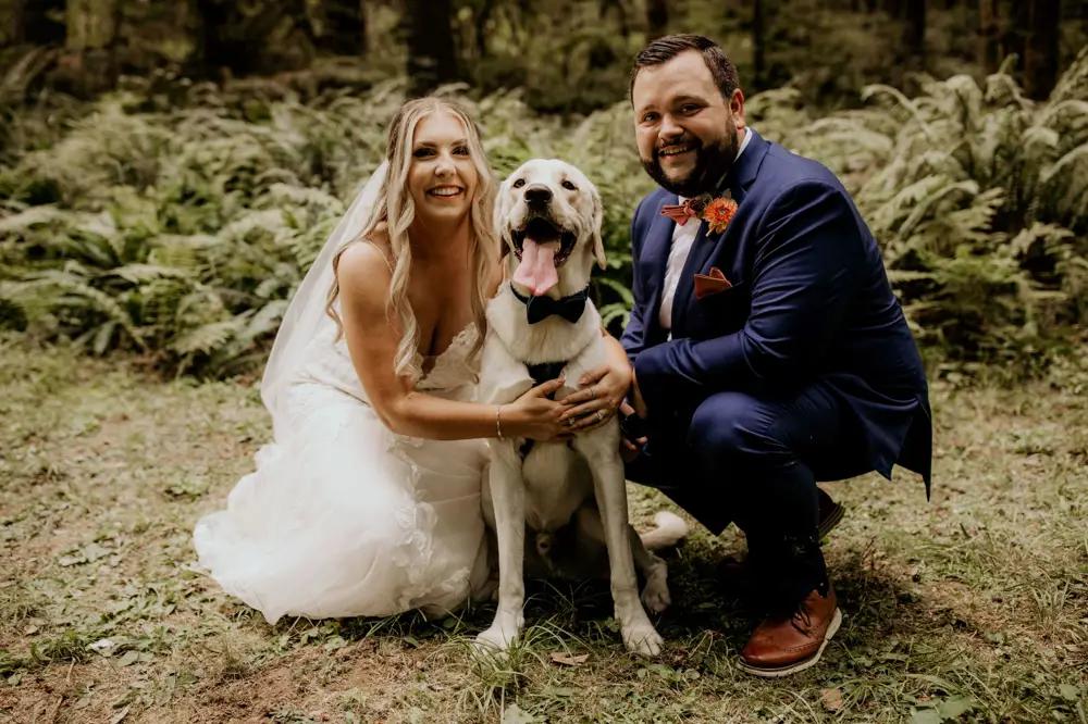 bride and groom with dog wedding photos lace wedding gown