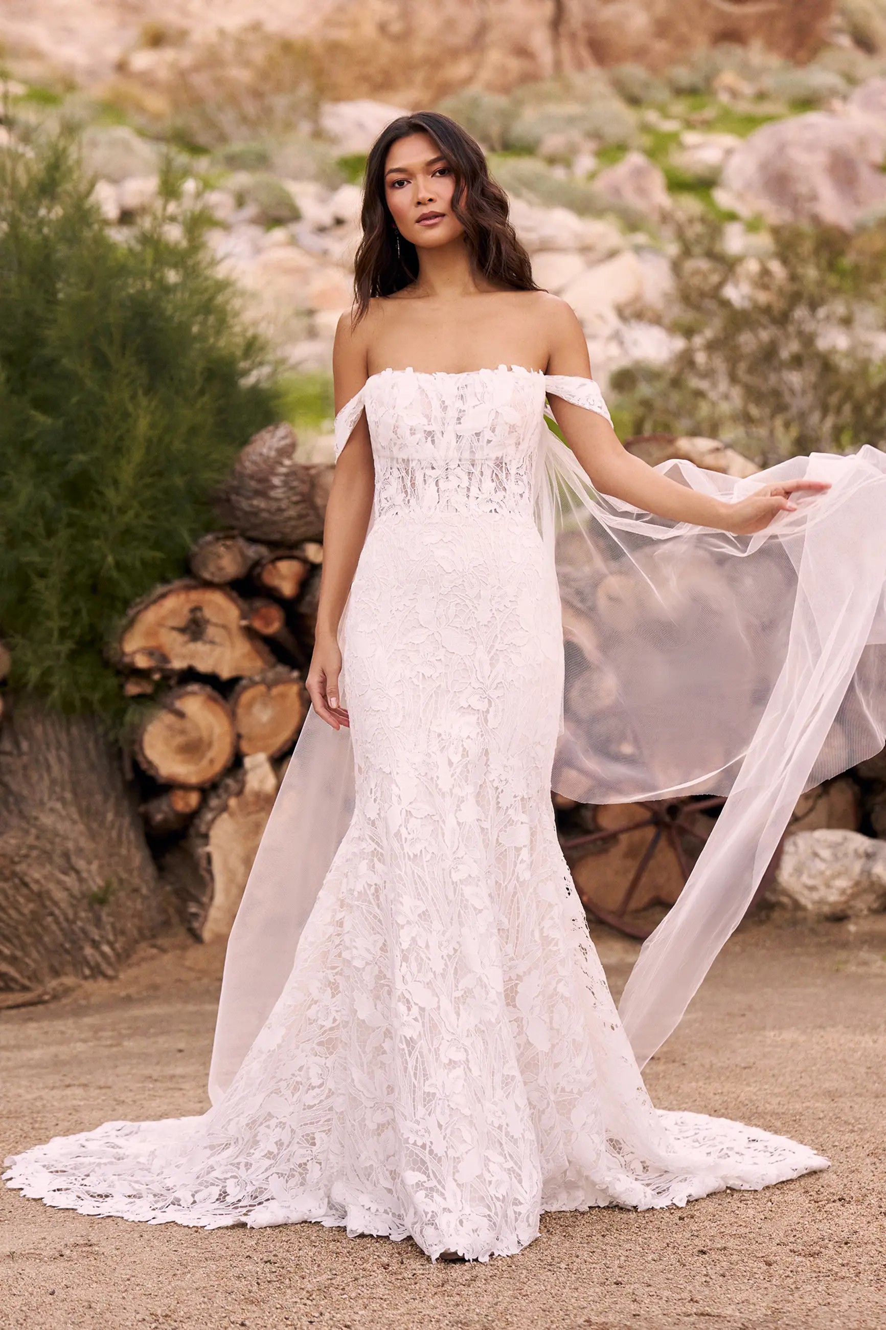 Style 66300